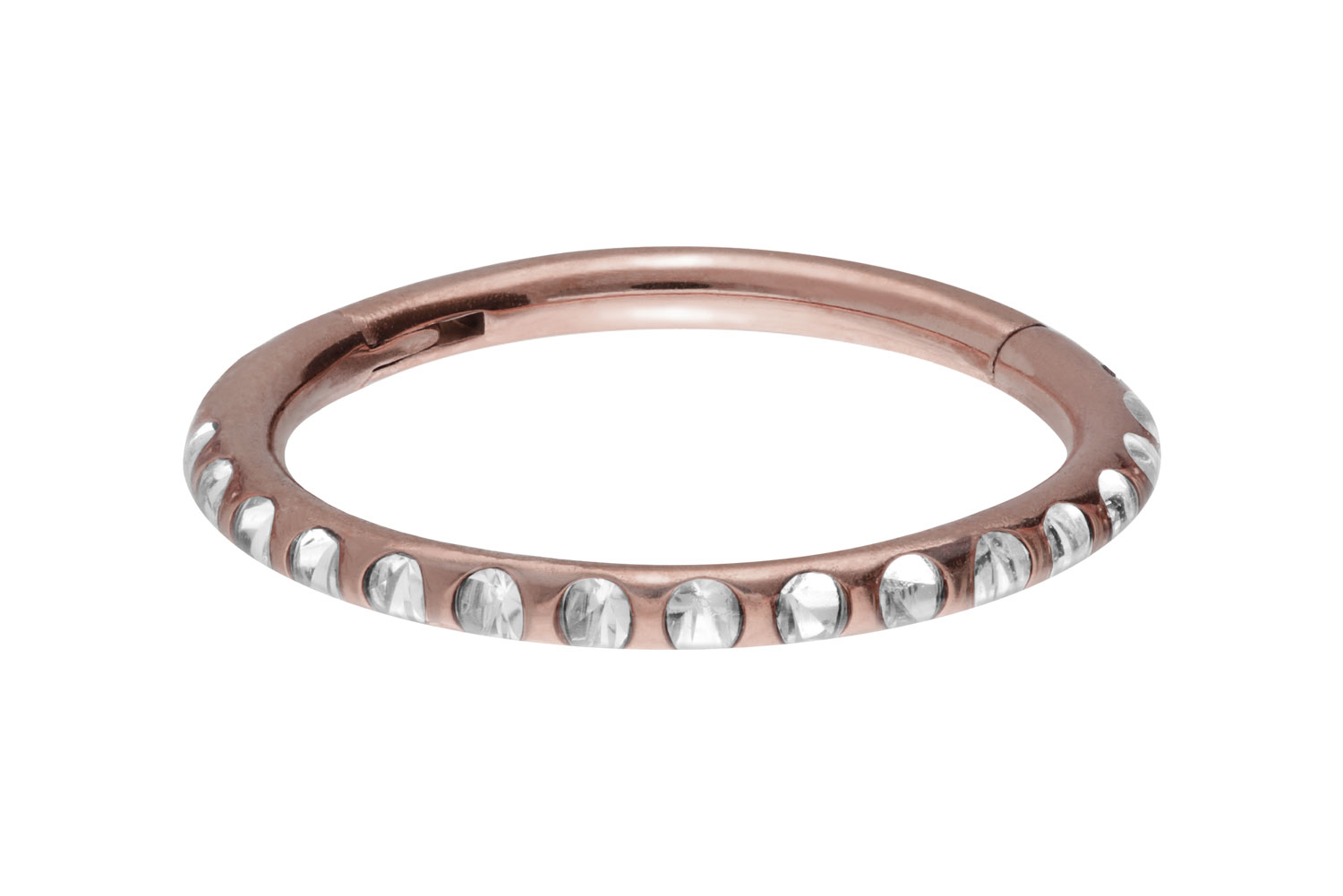 Titan Segmentring Clicker Piercing KRISTALLE + EPOXY